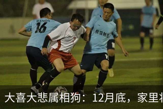 大喜大悲属相狗：12月底，家里将发生5件大事，提前准备