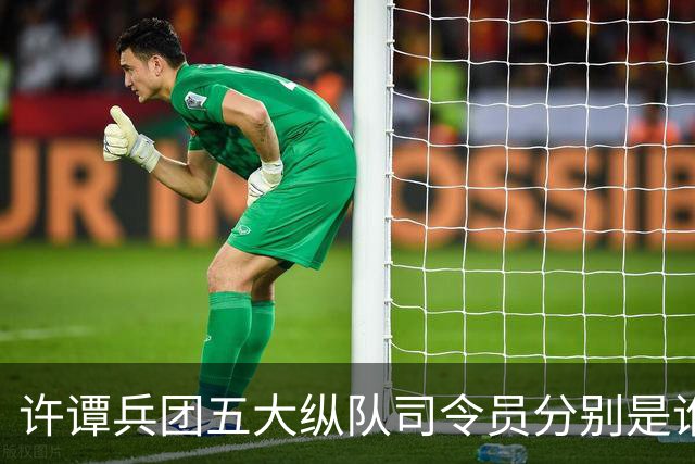 许谭兵团五大纵队司令员分别是谁？他们的军衔又是什么情况？
